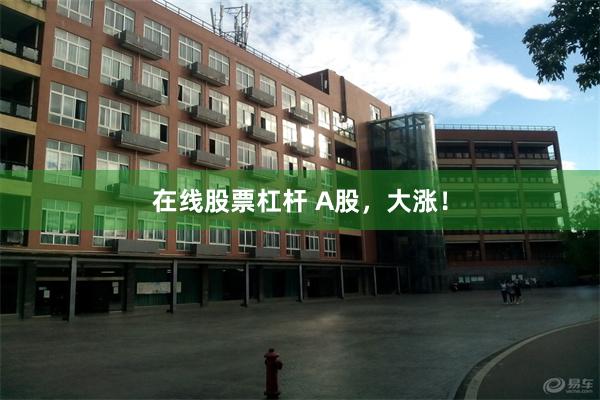 在线股票杠杆 A股，大涨！