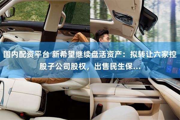 国内配资平台 新希望继续盘活资产：拟转让六家控股子公司股权，出售民生保...