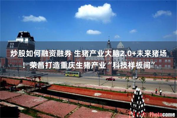 炒股如何融资融券 生猪产业大脑2.0+未来猪场！荣昌打造重庆生猪产业“科技样板间”