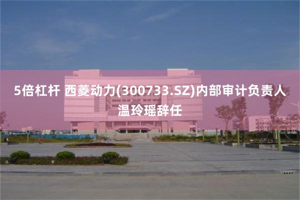 5倍杠杆 西菱动力(300733.SZ)内部审计负责人温玲瑶辞任