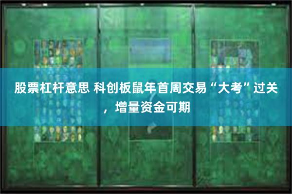 股票杠杆意思 科创板鼠年首周交易“大考”过关，增量资金可期