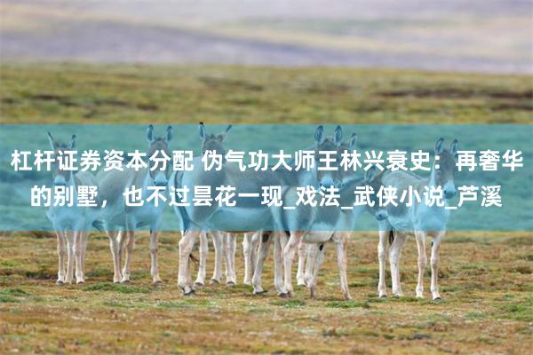 杠杆证券资本分配 伪气功大师王林兴衰史：再奢华的别墅，也不过昙花一现_戏法_武侠小说_芦溪