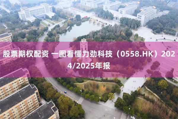 股票期权配资 一图看懂力劲科技（0558.HK）2024/2025年报