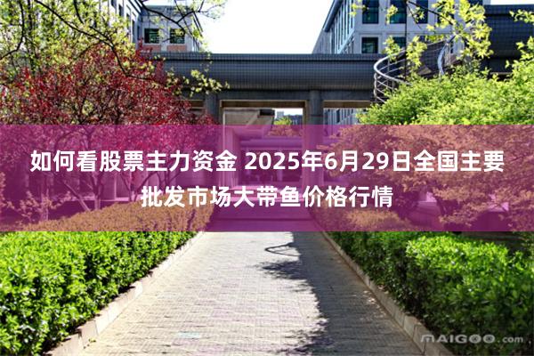 如何看股票主力资金 2025年6月29日全国主要批发市场大带鱼价格行情