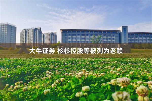 大牛证券 杉杉控股等被列为老赖