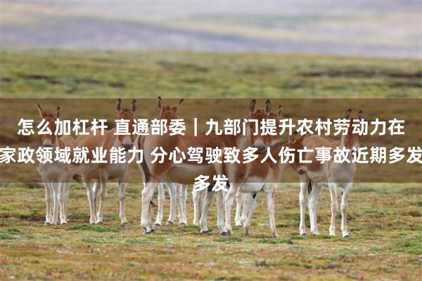 怎么加杠杆 直通部委｜九部门提升农村劳动力在家政领域就业能力 分心驾驶致多人伤亡事故近期多发