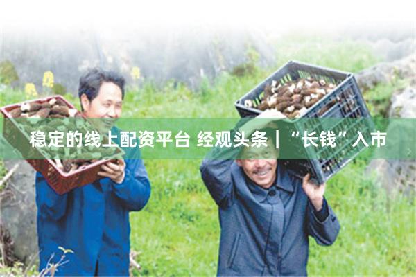 稳定的线上配资平台 经观头条｜“长钱”入市
