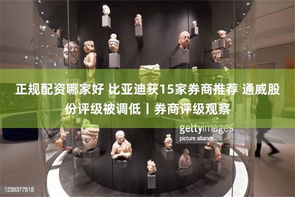 正规配资哪家好 比亚迪获15家券商推荐 通威股份评级被调低丨券商评级观察